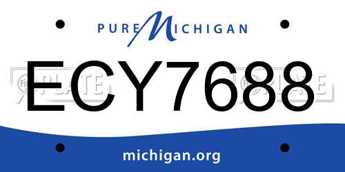 ECY7688 Michigan License Plate