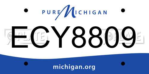 ECY8809 Michigan License Plate