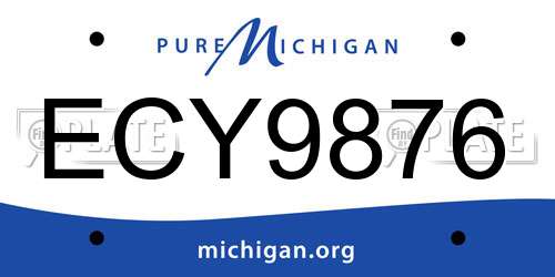 ECY9876 Michigan License Plate