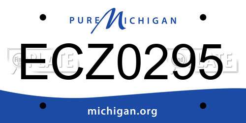 ECZ0295 Michigan License Plate