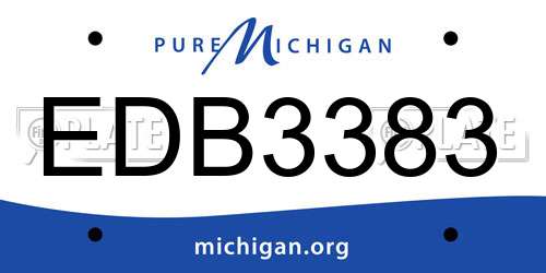 EDB3383 Michigan License Plate