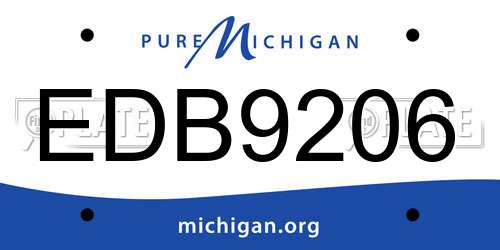 EDB9206 Michigan License Plate