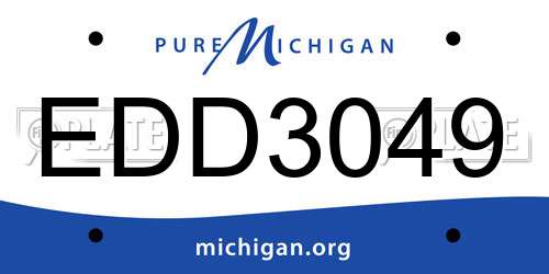 EDD3049 Michigan License Plate