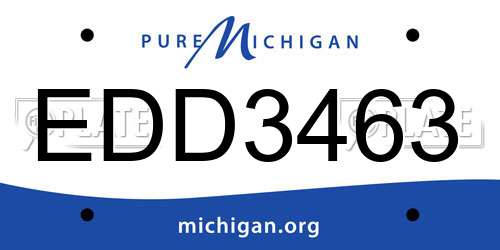 EDD3463 Michigan License Plate