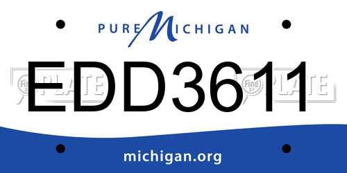 EDD3611 Michigan License Plate