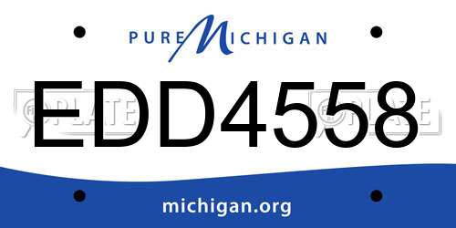 EDD4558 Michigan License Plate
