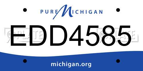 EDD4585 Michigan License Plate