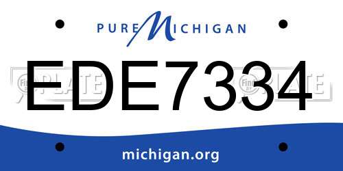 EDE7334 Michigan License Plate
