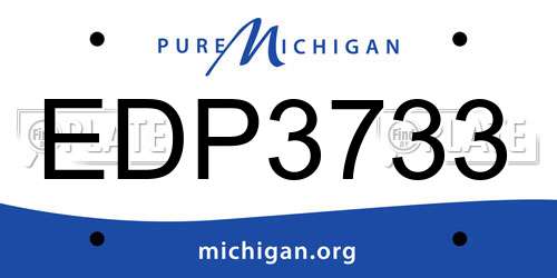 EDP3733 Michigan License Plate