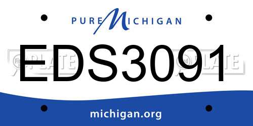 EDS3091 Michigan License Plate