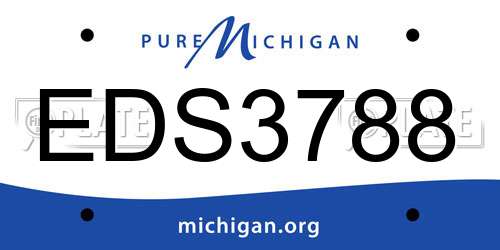 EDS3788 Michigan License Plate