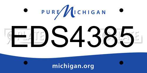 EDS4385 Michigan License Plate