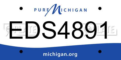 EDS4891 Michigan License Plate