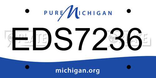 EDS7236 Michigan License Plate