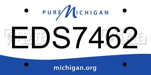 EDS7462 Michigan License Plate