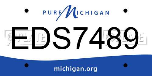 EDS7489 Michigan License Plate