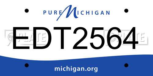 EDT2564 Michigan License Plate