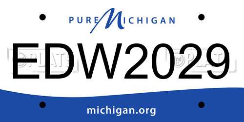 EDW2029 Michigan License Plate