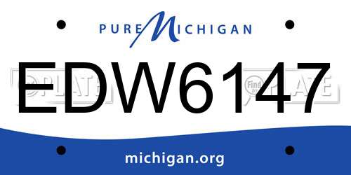 EDW6147 Michigan License Plate