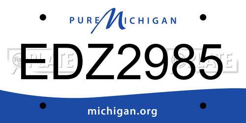 EDZ2985 Michigan License Plate