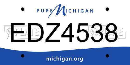EDZ4538 Michigan License Plate