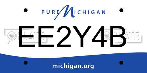 EE2Y4B Michigan License Plate