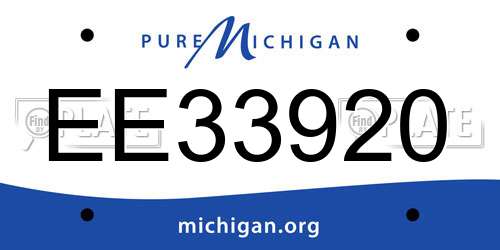 EE33920 Michigan License Plate