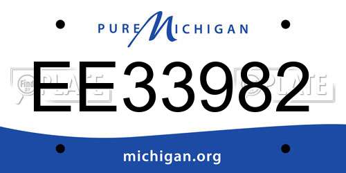 EE33982 Michigan License Plate