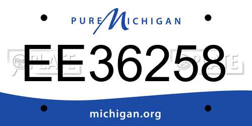 EE36258 Michigan License Plate