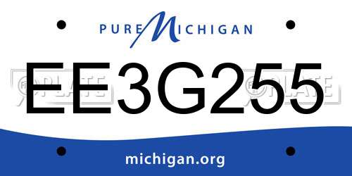 EE3G255 Michigan License Plate