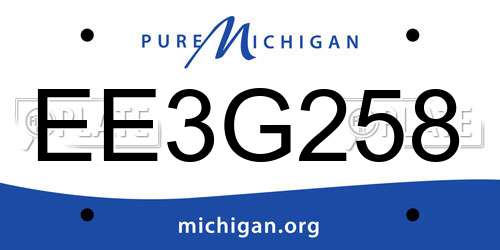EE3G258 Michigan License Plate