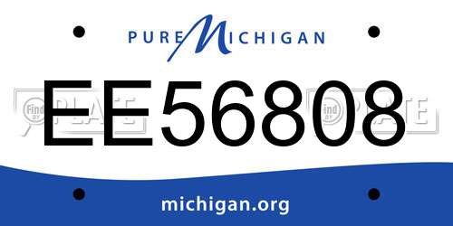 EE56808 Michigan License Plate
