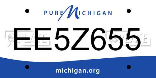EE5Z655 Michigan License Plate
