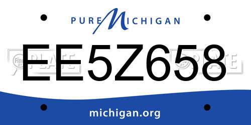 EE5Z658 Michigan License Plate