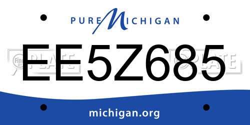 EE5Z685 Michigan License Plate