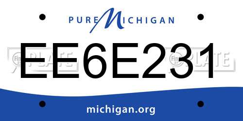 EE6E231 Michigan License Plate