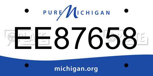EE87658 Michigan License Plate