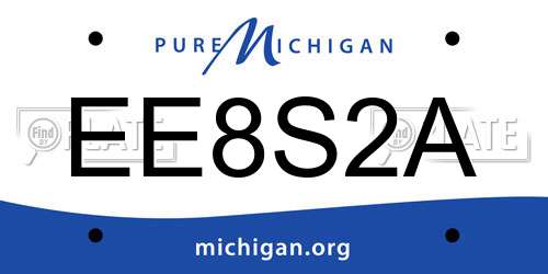 EE8S2A Michigan License Plate