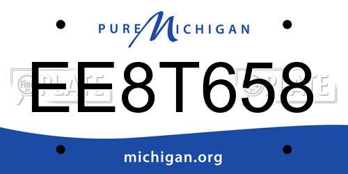 EE8T658 Michigan License Plate