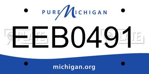 EEB0491 Michigan License Plate