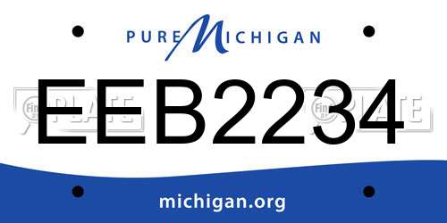 EEB2234 Michigan License Plate