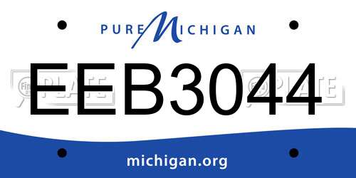 EEB3044 Michigan License Plate