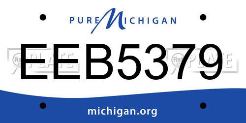 EEB5379 Michigan License Plate