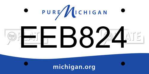 EEB824 Michigan License Plate