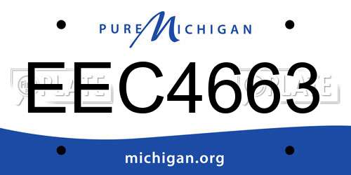 EEC4663 Michigan License Plate
