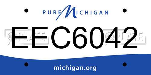 EEC6042 Michigan License Plate