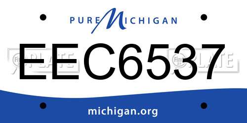 EEC6537 Michigan License Plate