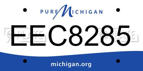 EEC8285 Michigan License Plate