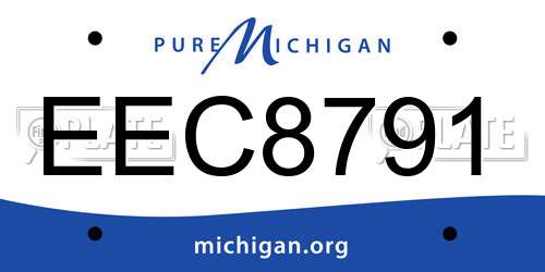 EEC8791 Michigan License Plate
