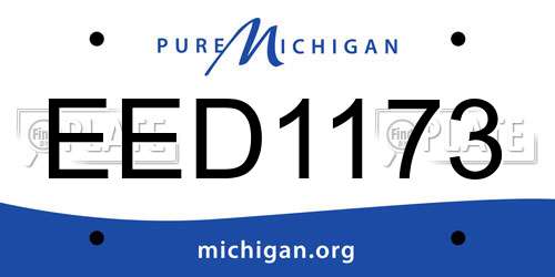 EED1173 Michigan License Plate